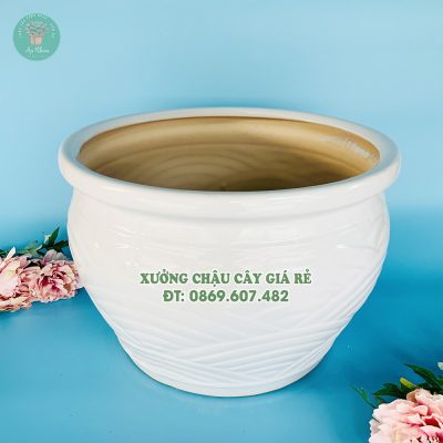 Đại lý mua chậu gốm sứ vân mây màu trắng đẹp, giá rẻ