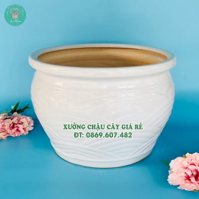 Đại lý mua chậu gốm sứ vân mây màu trắng đẹp, giá rẻ