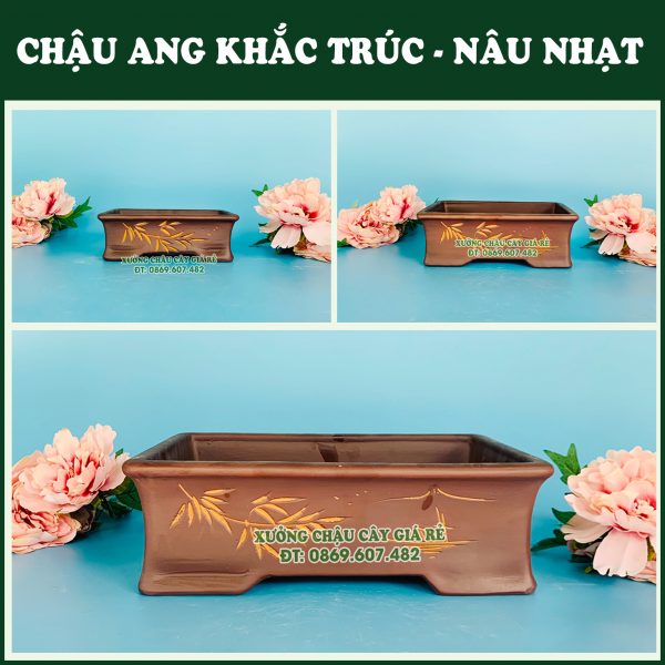 Chau su trong cay chu nhat mau khac nau truc co nho dep mat 1 1