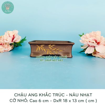 Địa chỉ bán chậu sứ trồng cây cảnh cỡ nhỏ dáng chữ nhật nâu trúc giá rẻ