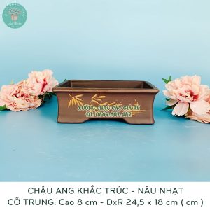 Noi ban chau trong cay gom su mau nau truc chat luong tot gia re 1 1